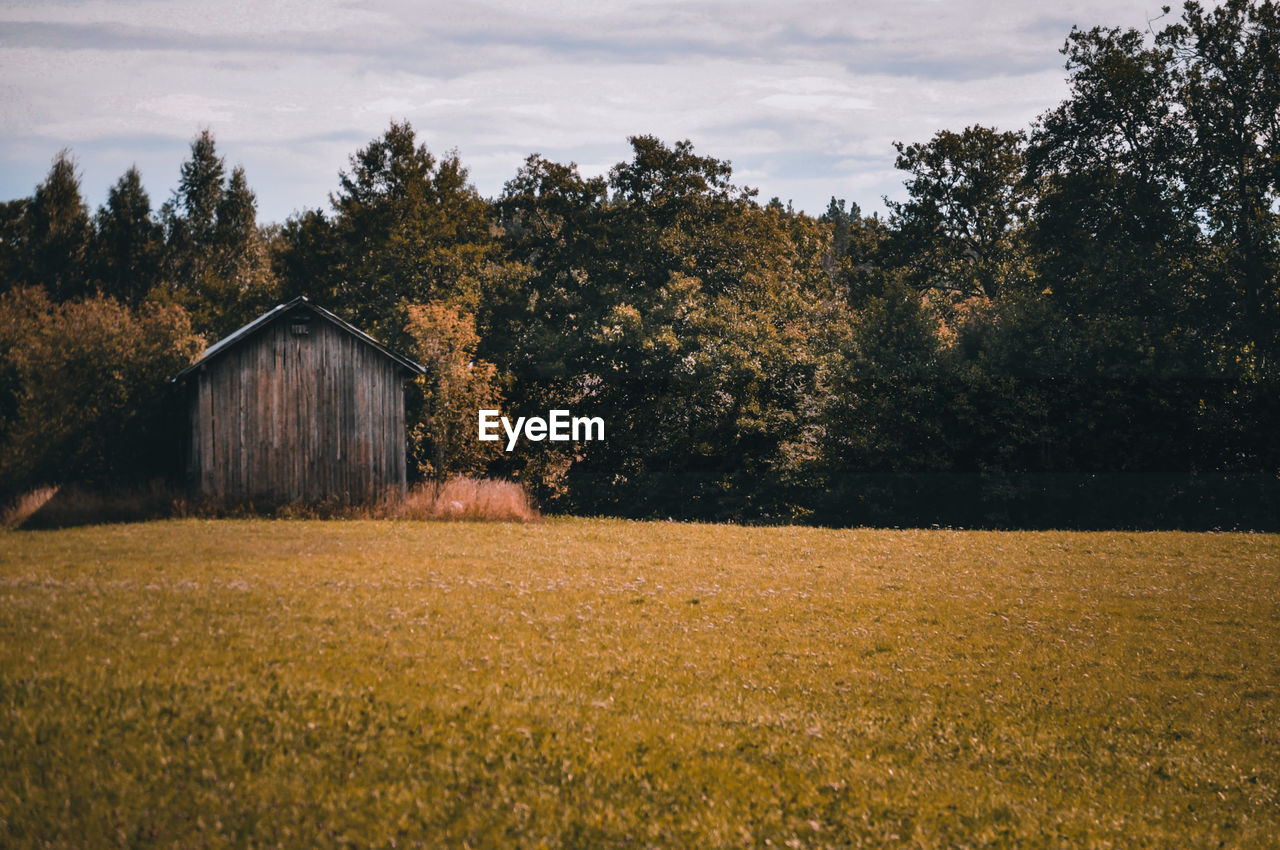 Scenic view of field against sky during autumn