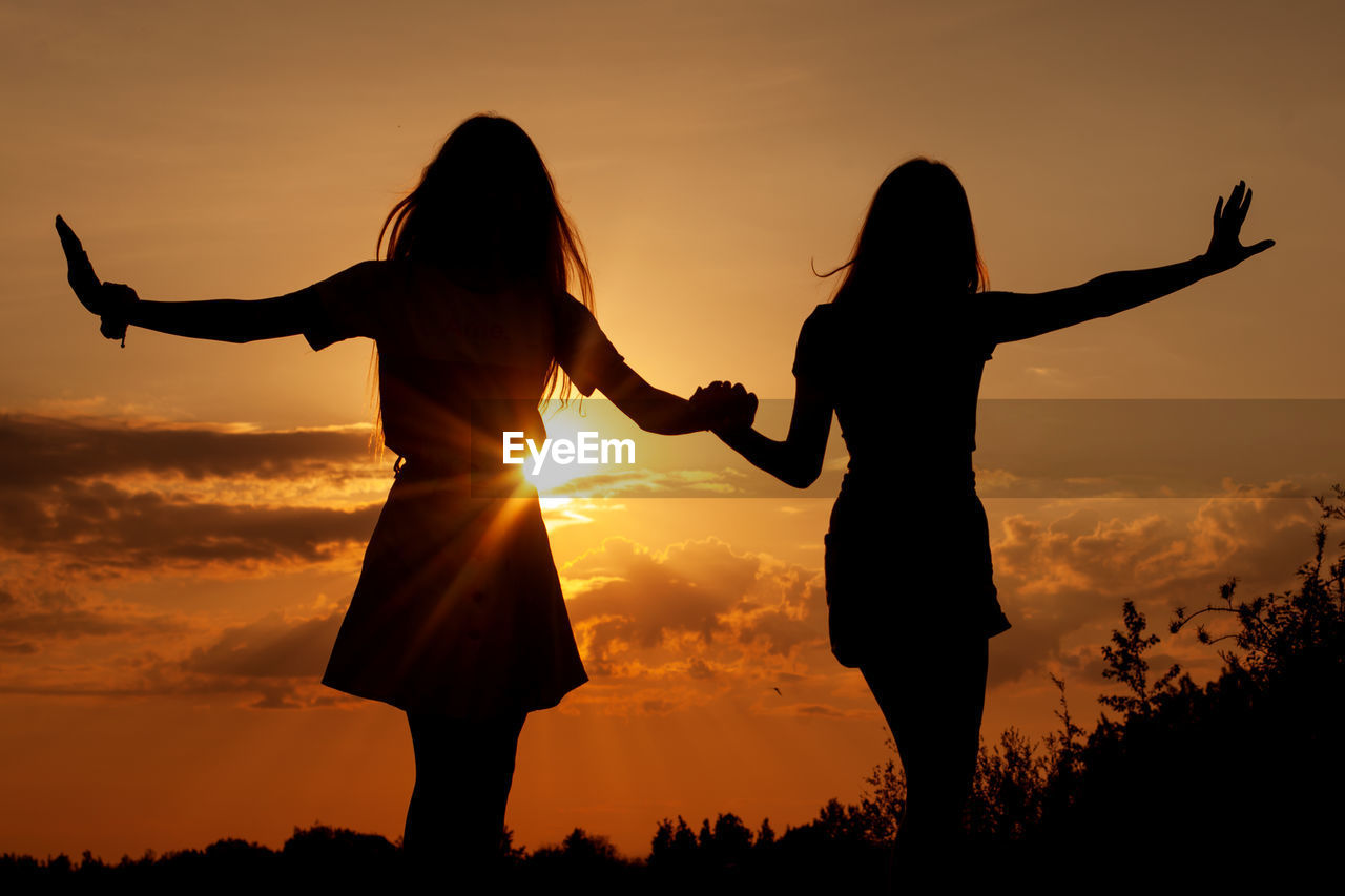 Silhouette friends holding hands standing on land against sky during sunset