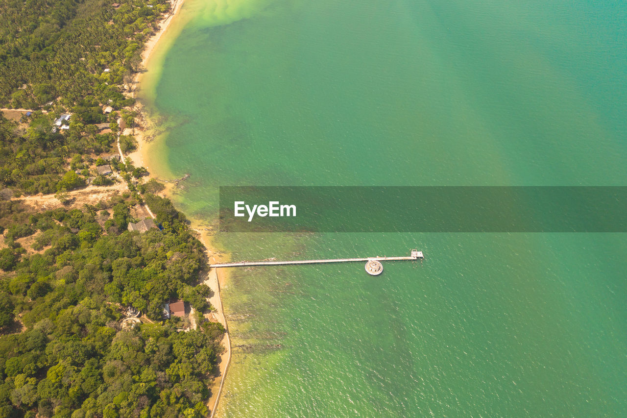 High angle view of plants by sea