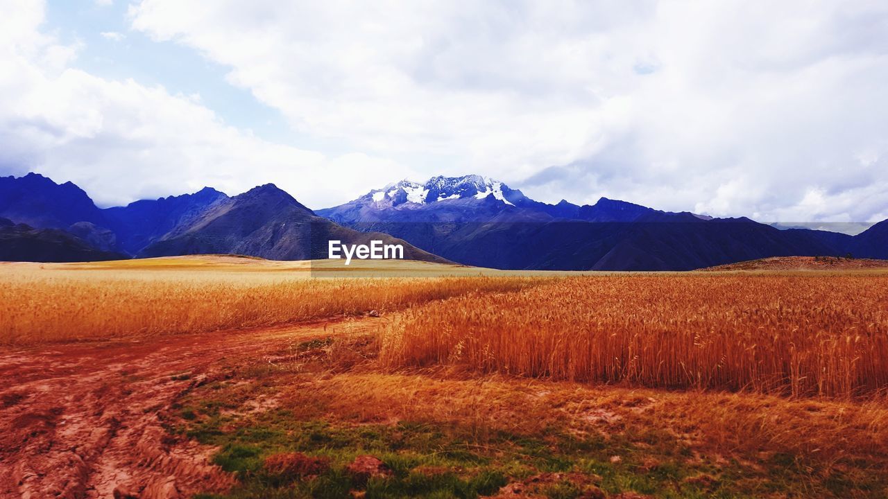 Scenic view of field and mountains against sky