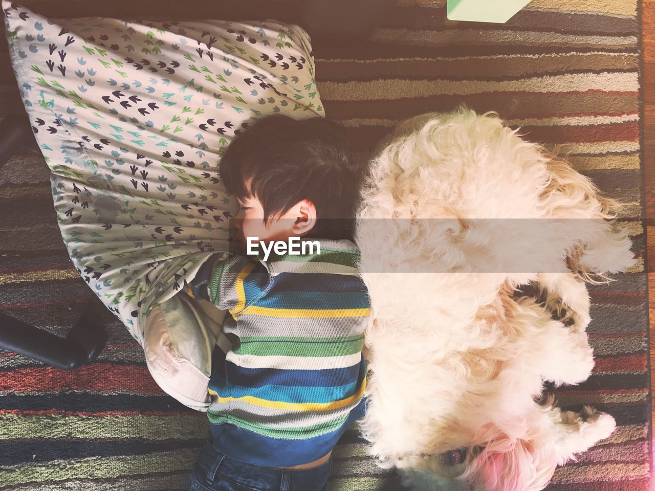 Directly above shot of boy sleeping with pillow by dog on carpet at home