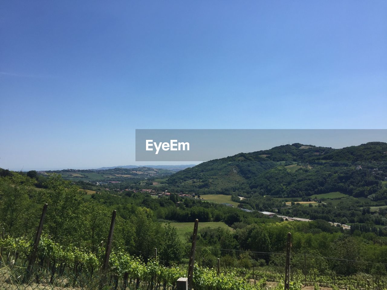 Scenic view of farm against clear sky