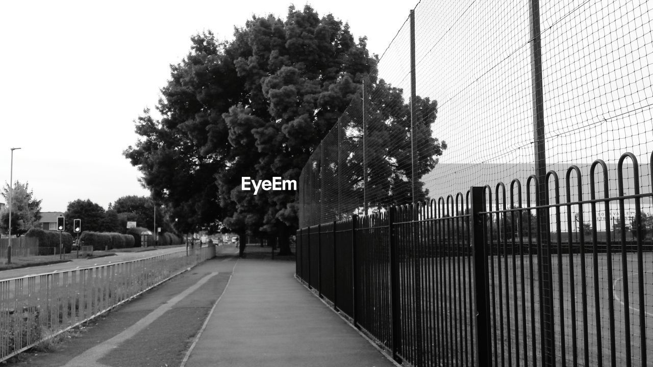 Road by fence against trees