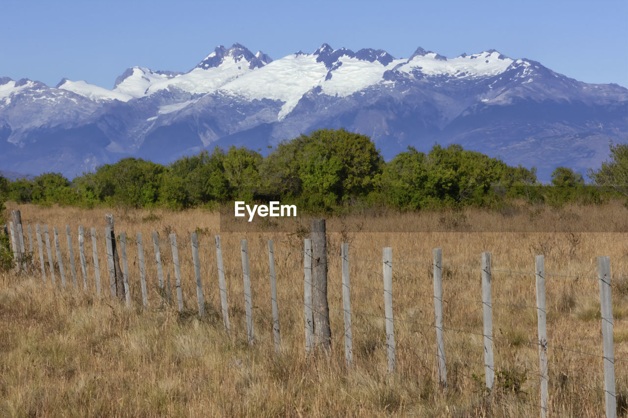 PLANTS GROWING ON FIELD AGAINST MOUNTAIN RANGE