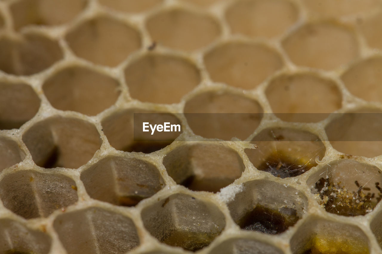 Full frame shot of honeycomb