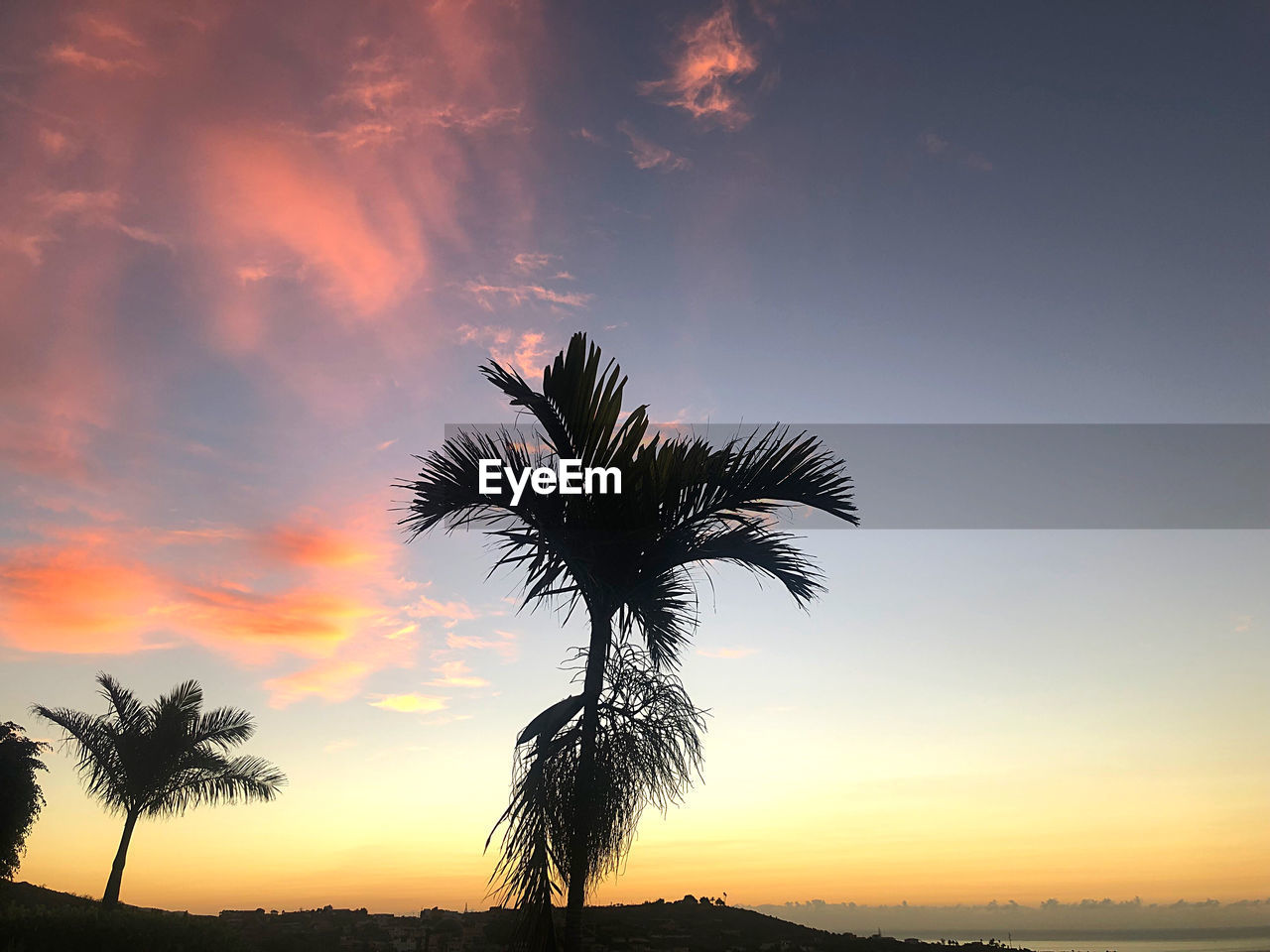 sky, palm tree, tropical climate, sunset, tree, horizon, beauty in nature, silhouette, nature, plant, dusk, scenics - nature, cloud, tranquility, land, tranquil scene, evening, sunlight, environment, no people, coconut palm tree, travel destinations, landscape, water, outdoors, sea, beach, dramatic sky, idyllic, tropical tree, orange color, sun, borassus flabellifer, holiday, travel, vacation, afterglow, trip, palm leaf, romantic sky, back lit, savanna