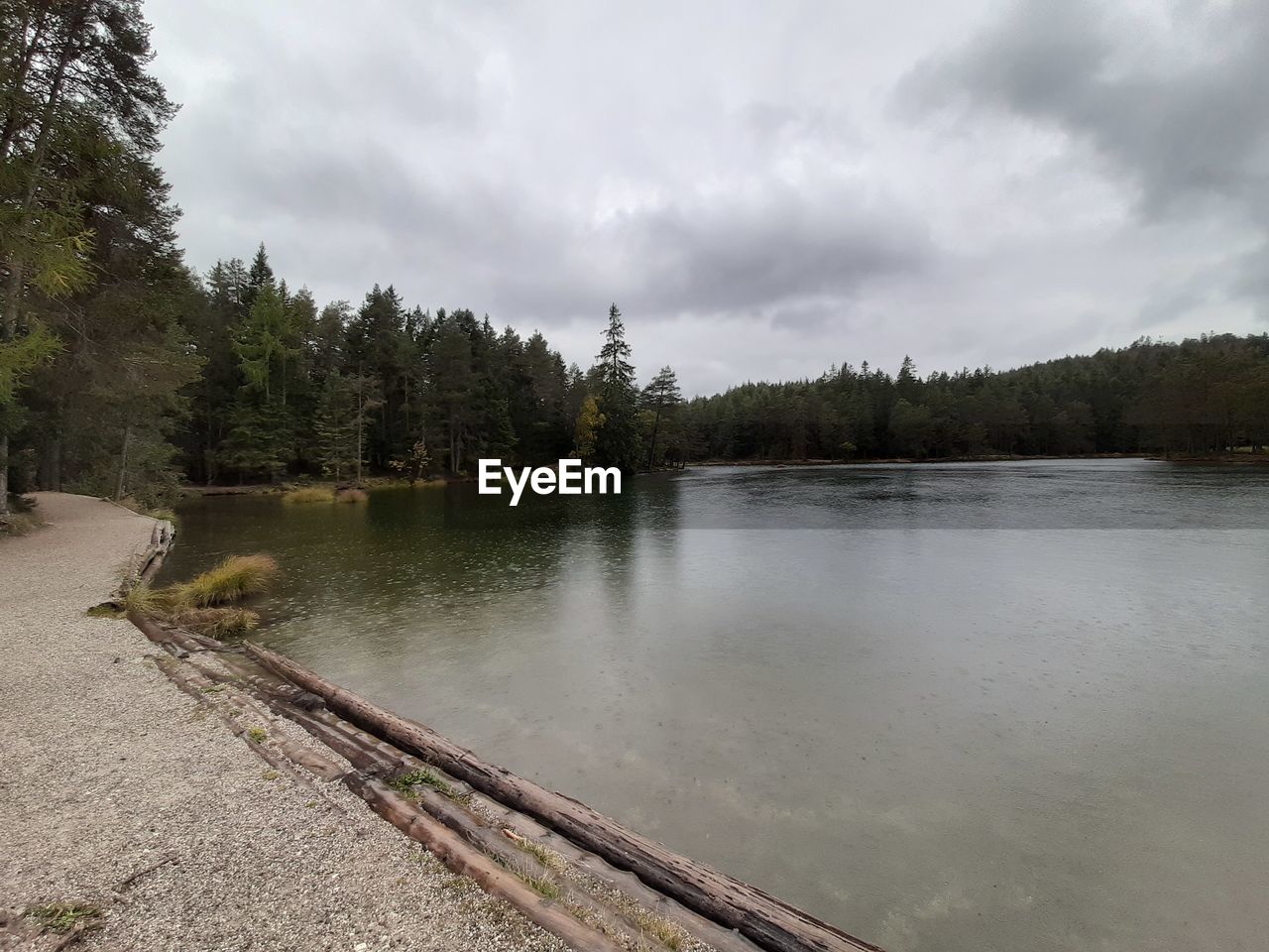 SCENIC VIEW OF LAKE AGAINST TREES