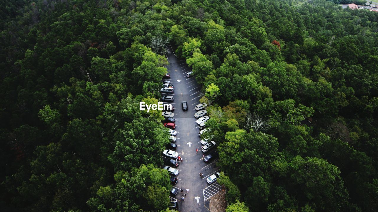 High angle view of road amidst trees in forest