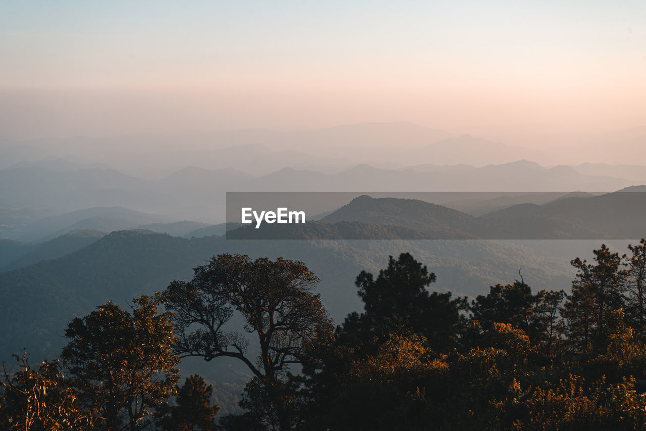 Silhouette trees by mountains against sky during sunset