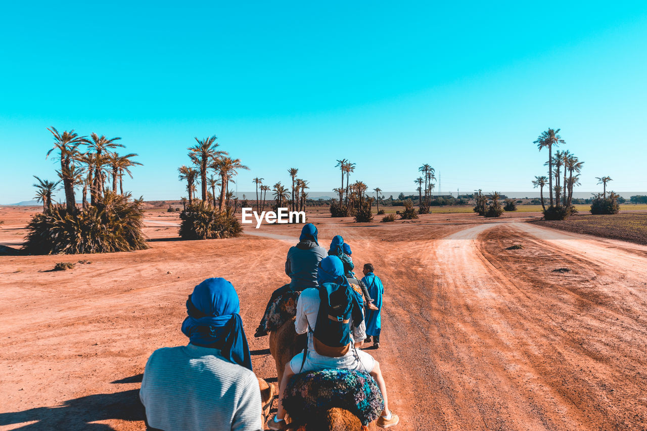 People riding camels in desert