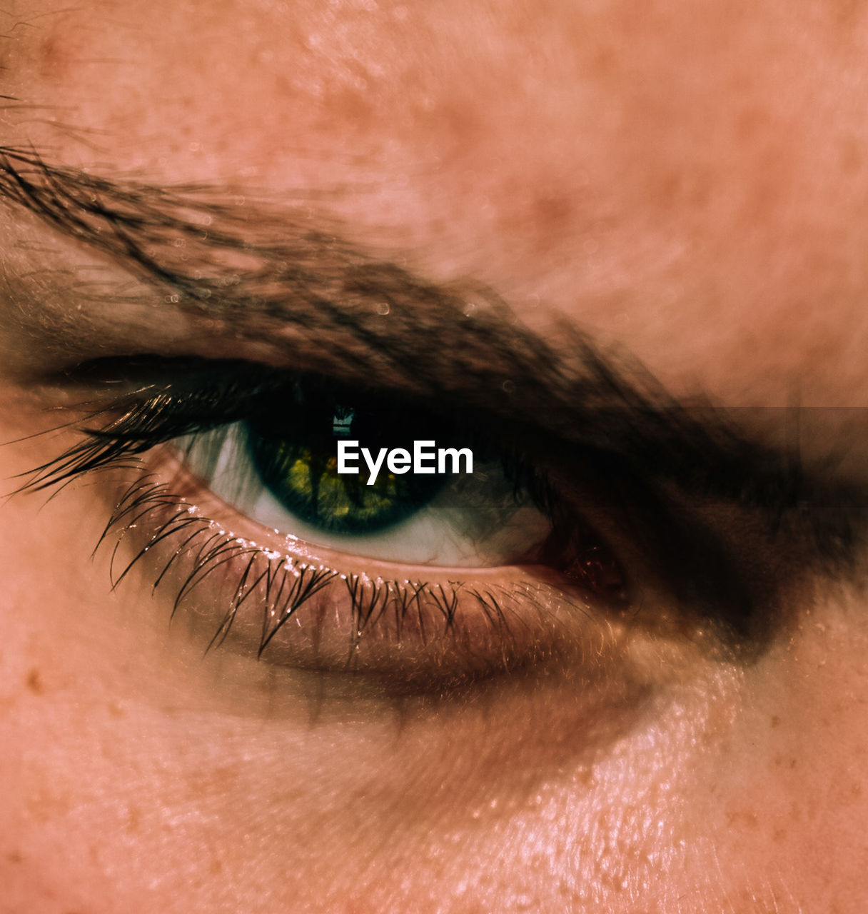 Cropped image of man eye