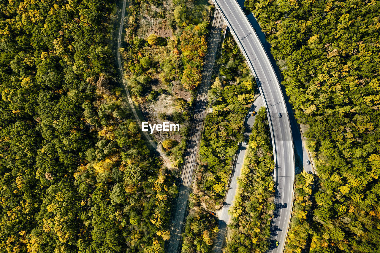 Aerial view of road and railway in forest