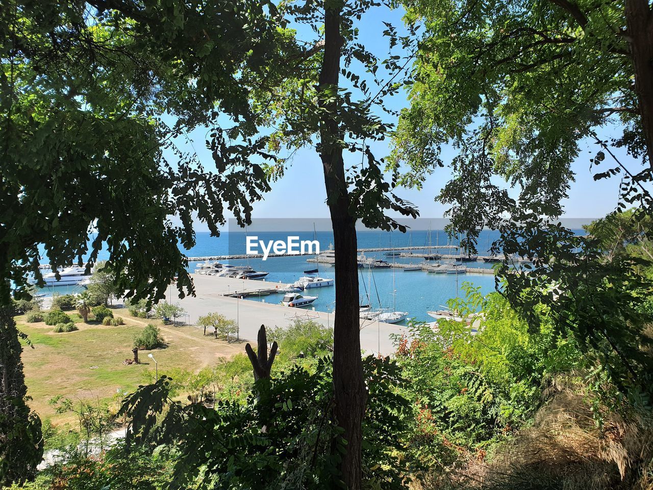 TREES ON SHORE AGAINST SKY