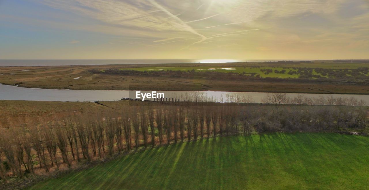 Scenic view of agricultural field against sky