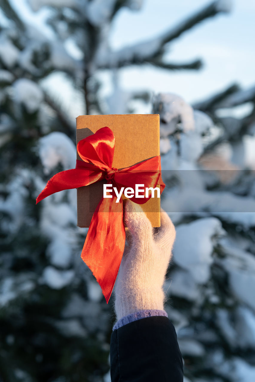 Cropped hand of woman holding christmas tree