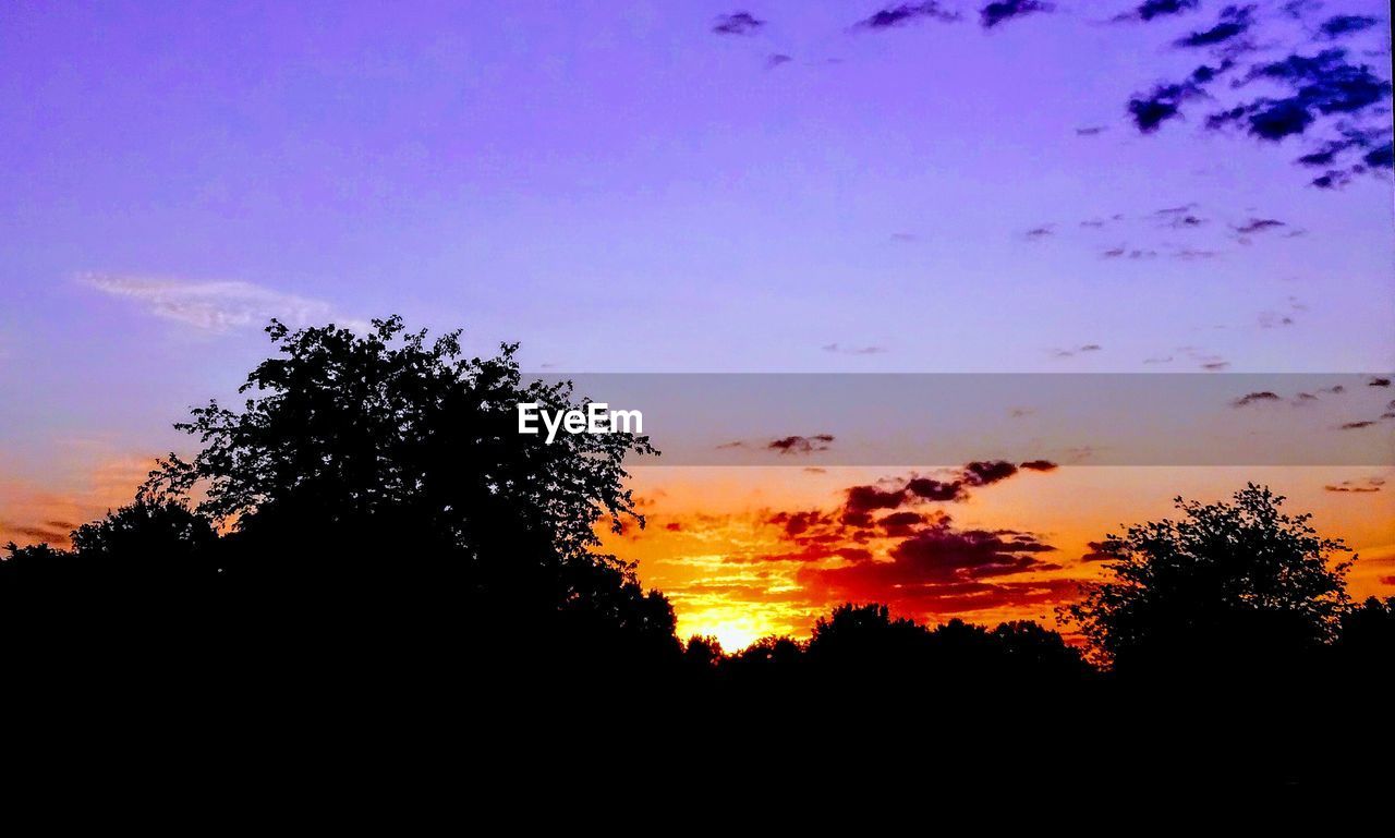 LOW ANGLE VIEW OF SILHOUETTE TREES AGAINST ORANGE SKY