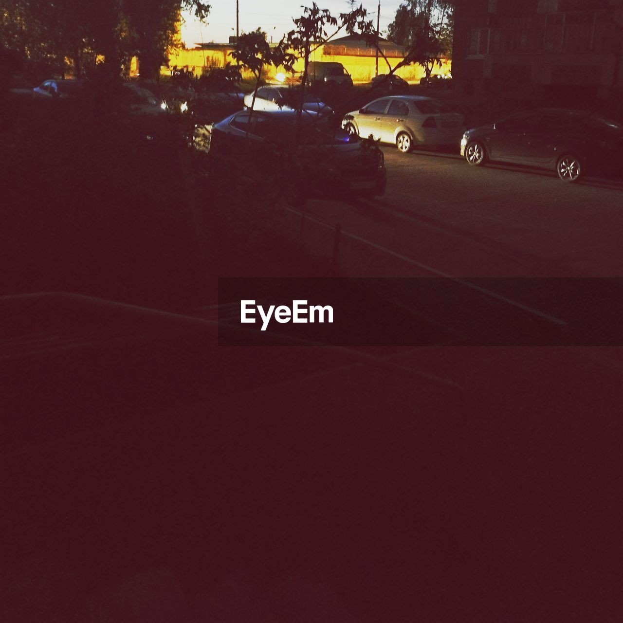 CARS ON ILLUMINATED STREET AT NIGHT