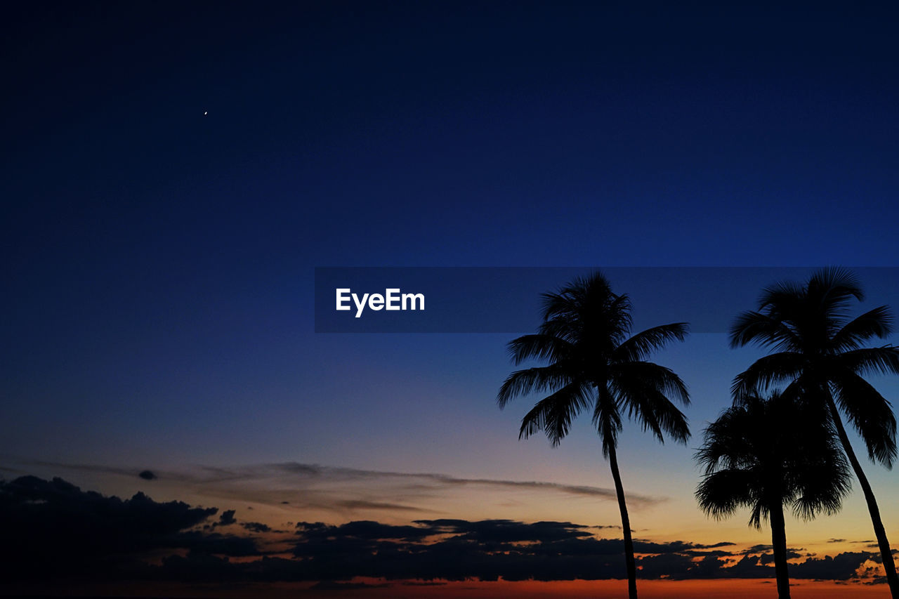 palm tree, sky, tropical climate, tree, horizon, beauty in nature, scenics - nature, dusk, nature, sunset, tranquility, silhouette, coconut palm tree, plant, tranquil scene, land, evening, cloud, night, travel destinations, environment, no people, idyllic, beach, landscape, water, sea, outdoors, vacation, trip, afterglow, holiday, blue, travel, tropical tree, copy space, tourism