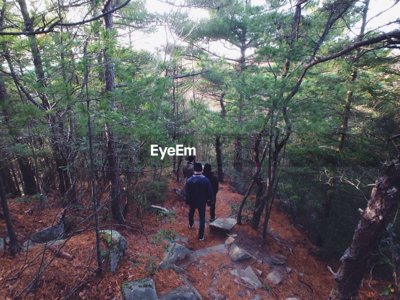 FULL LENGTH OF WOMAN STANDING ON FOREST