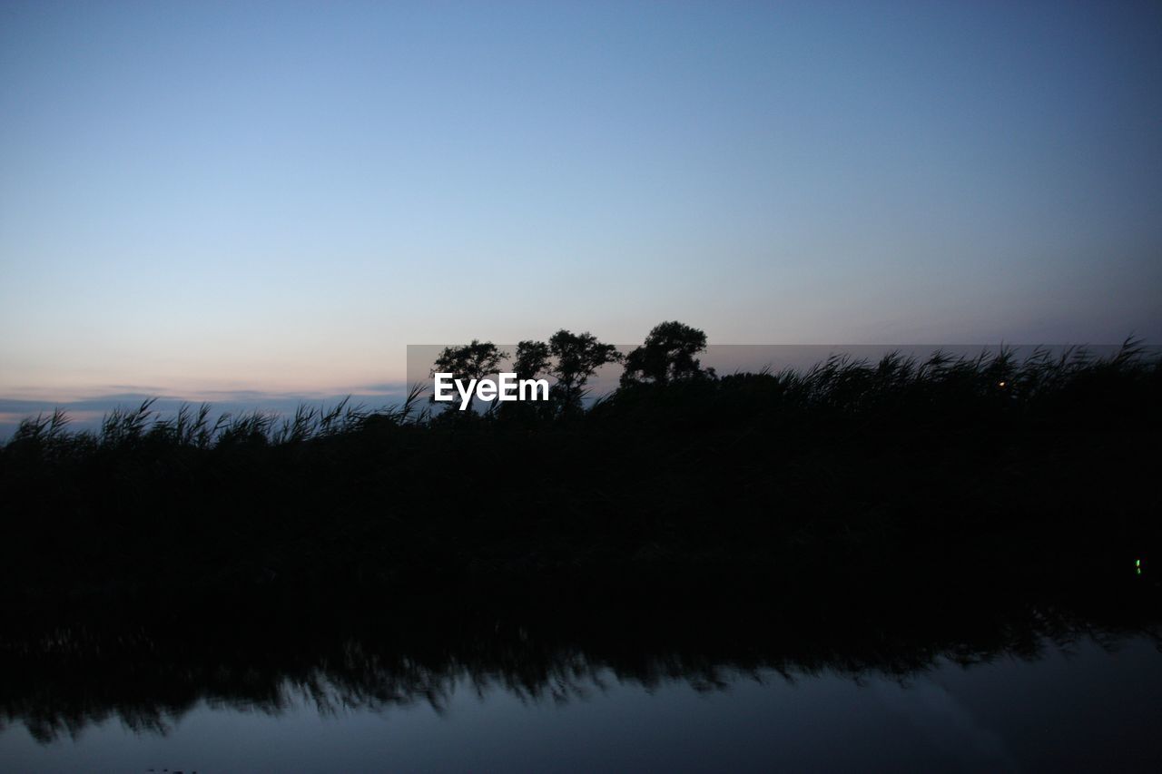 SILHOUETTE TREES AGAINST CLEAR SKY DURING SUNSET