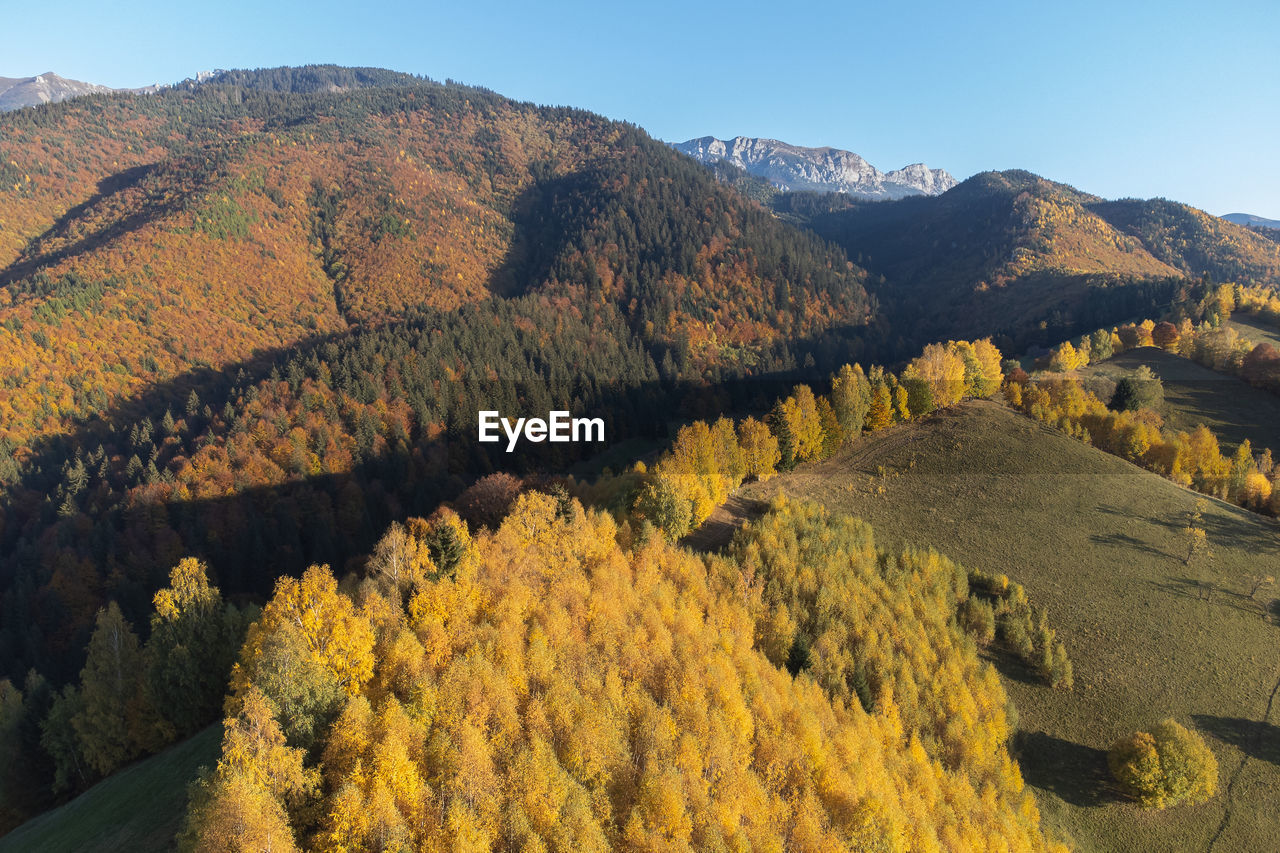 landscape, environment, scenics - nature, mountain, wilderness, land, autumn, nature, beauty in nature, plant, sky, tree, mountain range, no people, yellow, travel, travel destinations, valley, leaf, non-urban scene, tranquility, clear sky, outdoors, tranquil scene, forest, ridge, sunny, day, pinaceae, blue, coniferous tree, pine tree, rural scene, tourism, semi-arid, plateau, panoramic, sunlight, rock, pine woodland