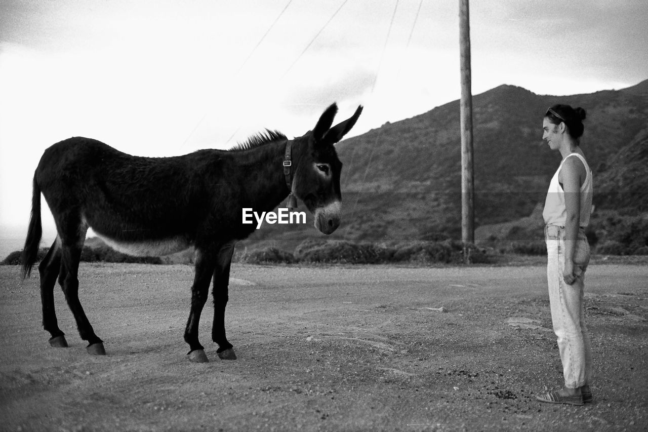 Woman with donkey standing on land