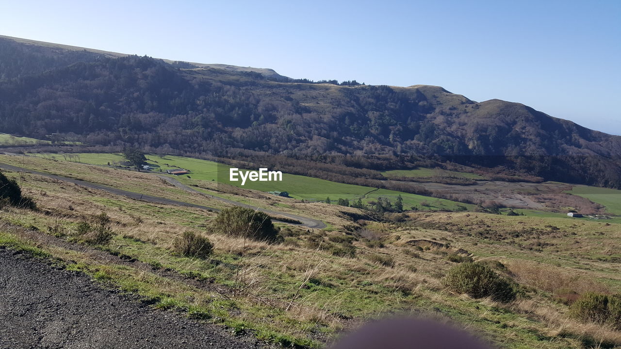 SCENIC VIEW OF GREEN LANDSCAPE AGAINST CLEAR SKY