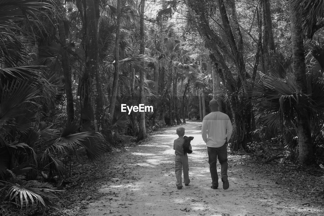 REAR VIEW OF TWO MEN IN FOREST