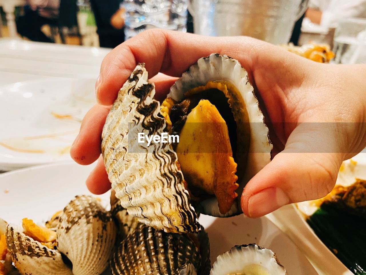 Cropped hand of person holding cooked shellfish