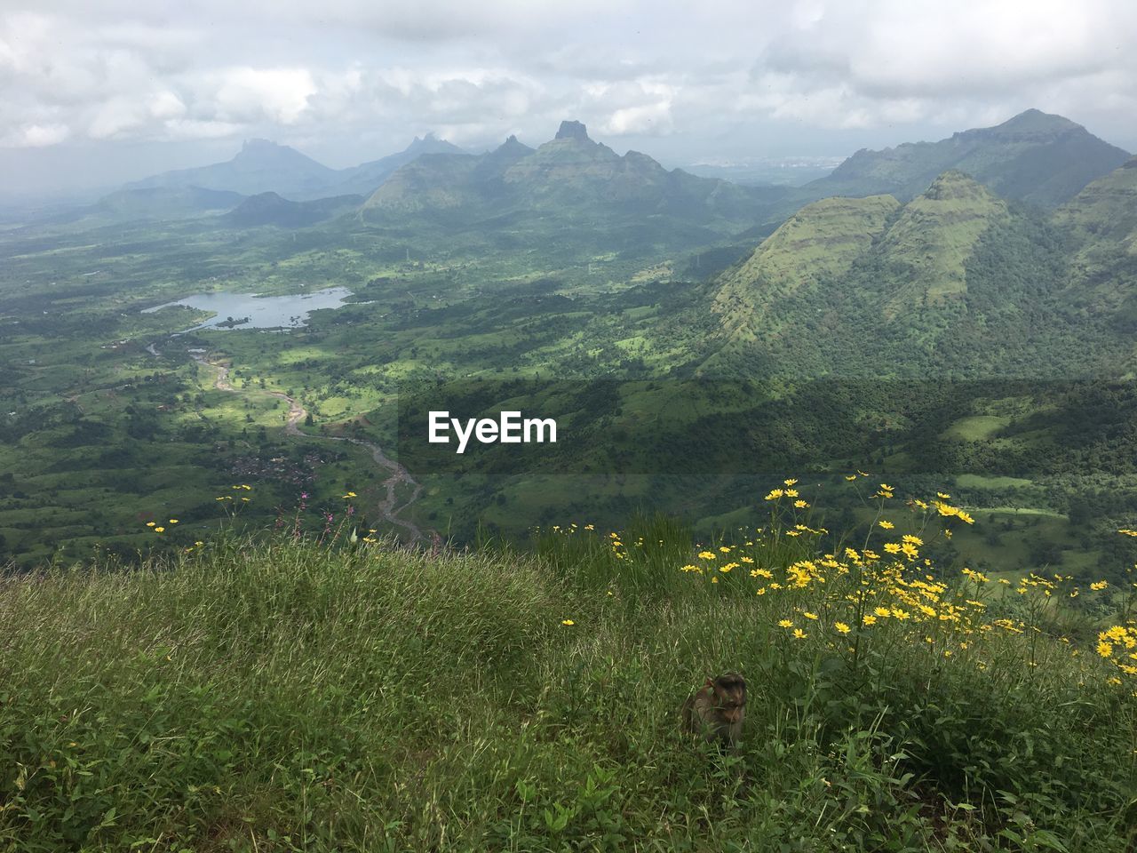 Scenic view of landscape and mountains against cloudy sky