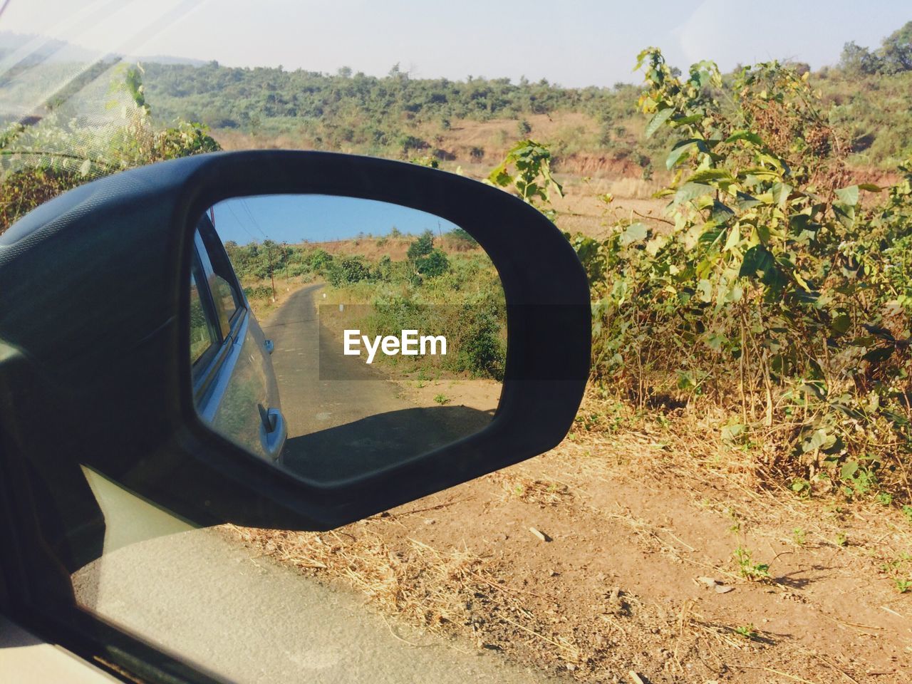 REFLECTION OF TREES ON SIDE-VIEW MIRROR OF CAR