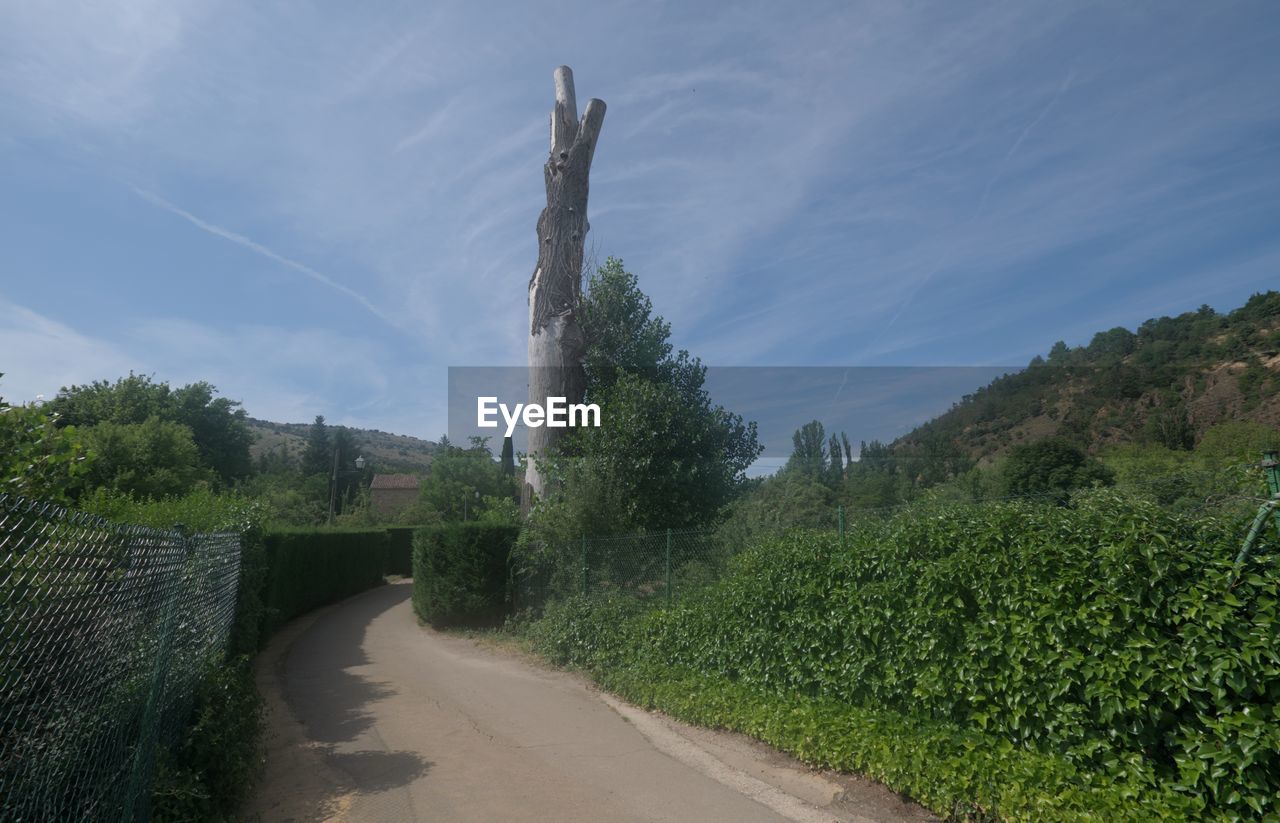 plant, sky, hill, tree, nature, road, rural area, landscape, cloud, environment, land, transportation, no people, scenics - nature, growth, beauty in nature, outdoors, grass, architecture, green, travel, rural scene, day, the way forward, footpath