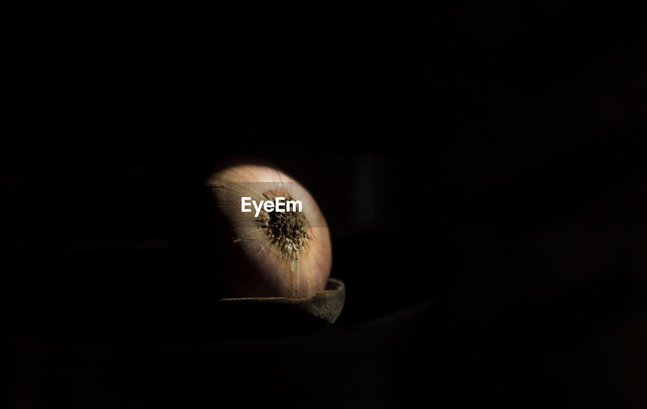 Close-up of onion on container against black background