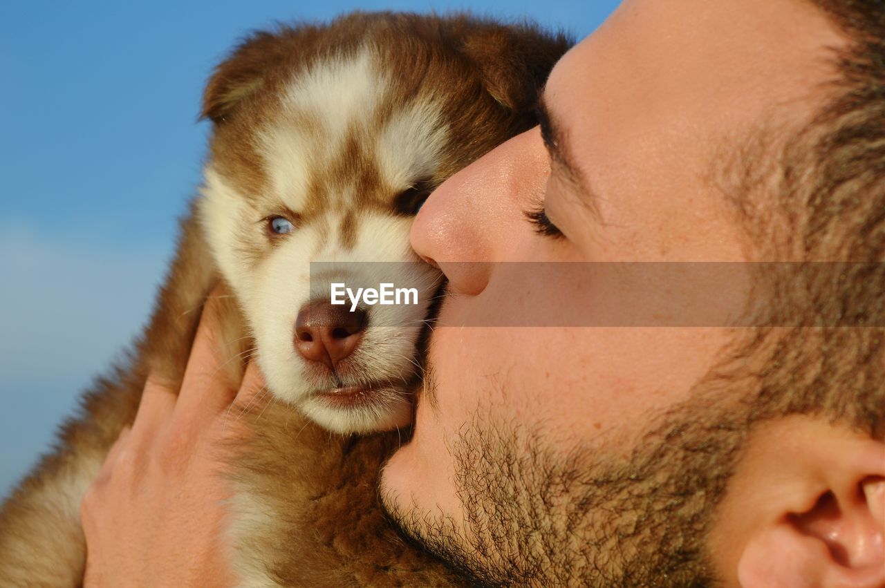 Close-up of man kissing pet dog