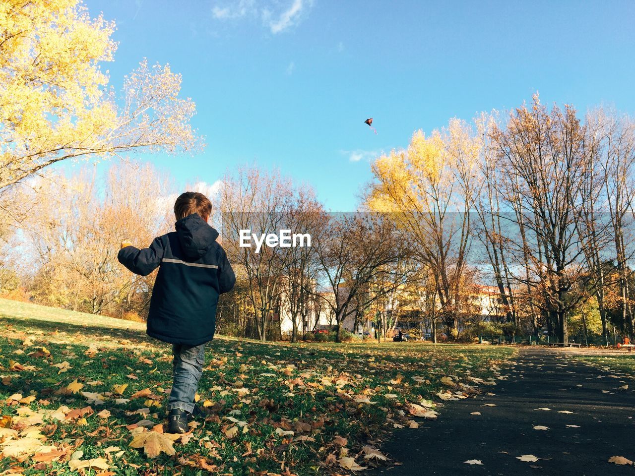 Rear view of boy flying kite on field during autumn