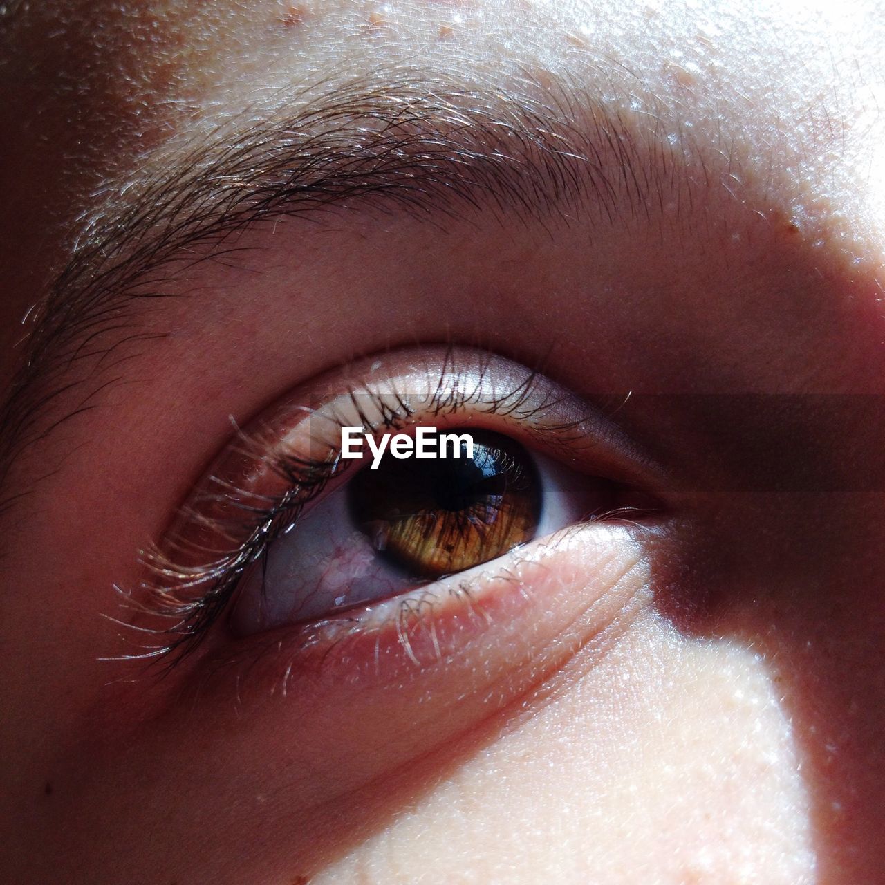 Close-up of teenage girl looking away