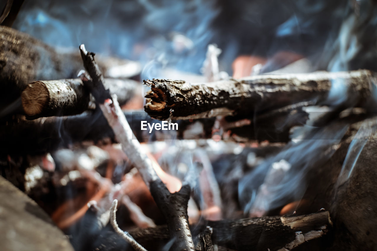 Close-up of burning firewood at campsite