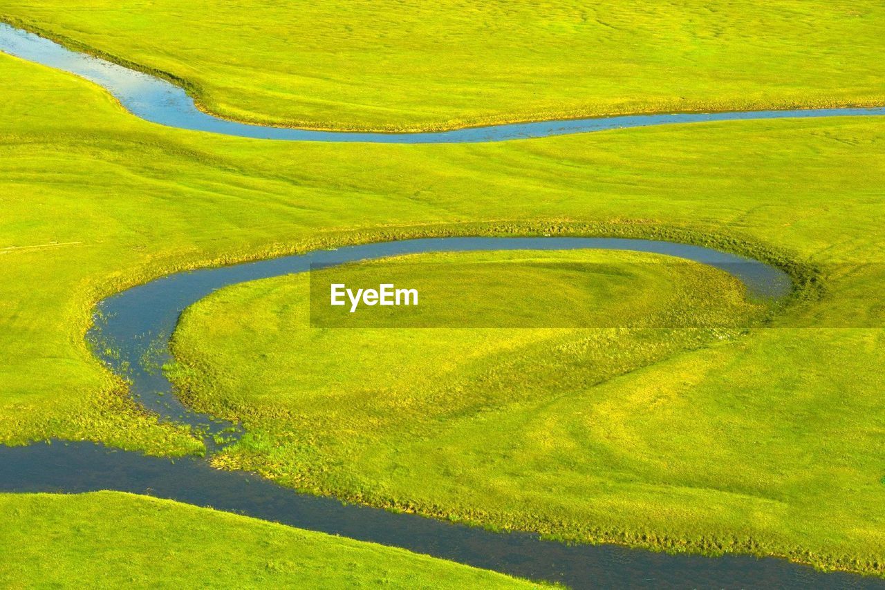 Full frame shot of green landscape