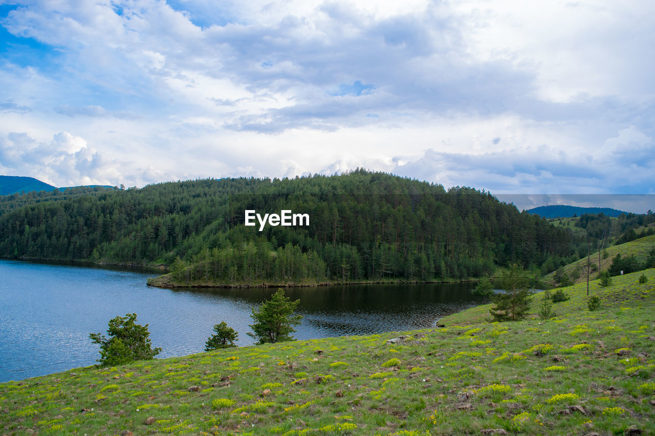 Scenic view of lake by trees against sky