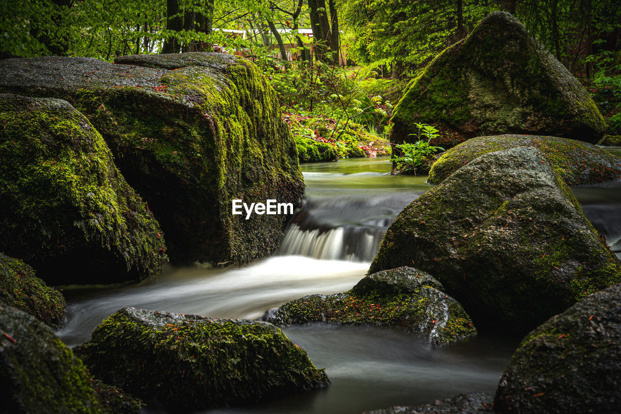 WATER FLOWING THROUGH ROCKS IN FOREST