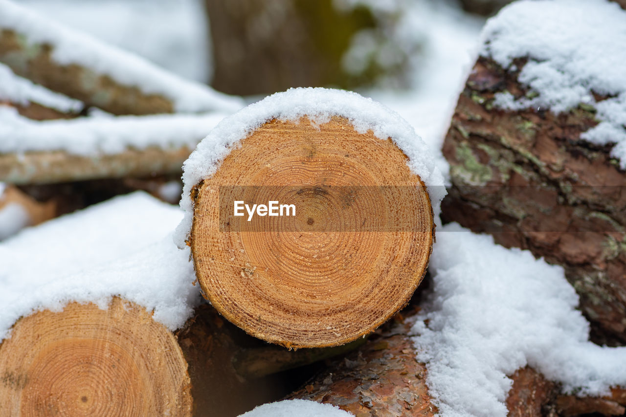 Stack or pile composed of blocks, pieces or logs of wood in winter or spring with snow