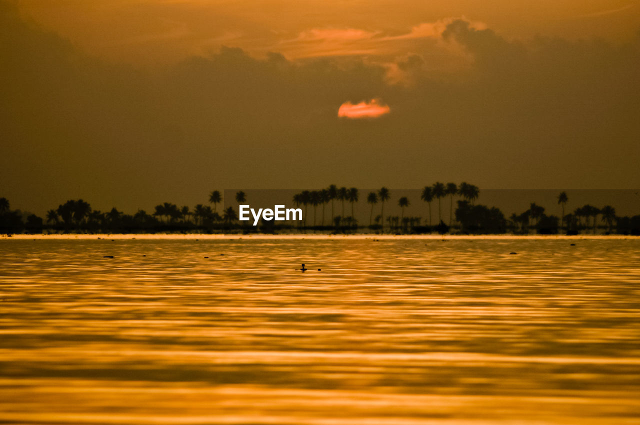 Scenic view of sea at sunset