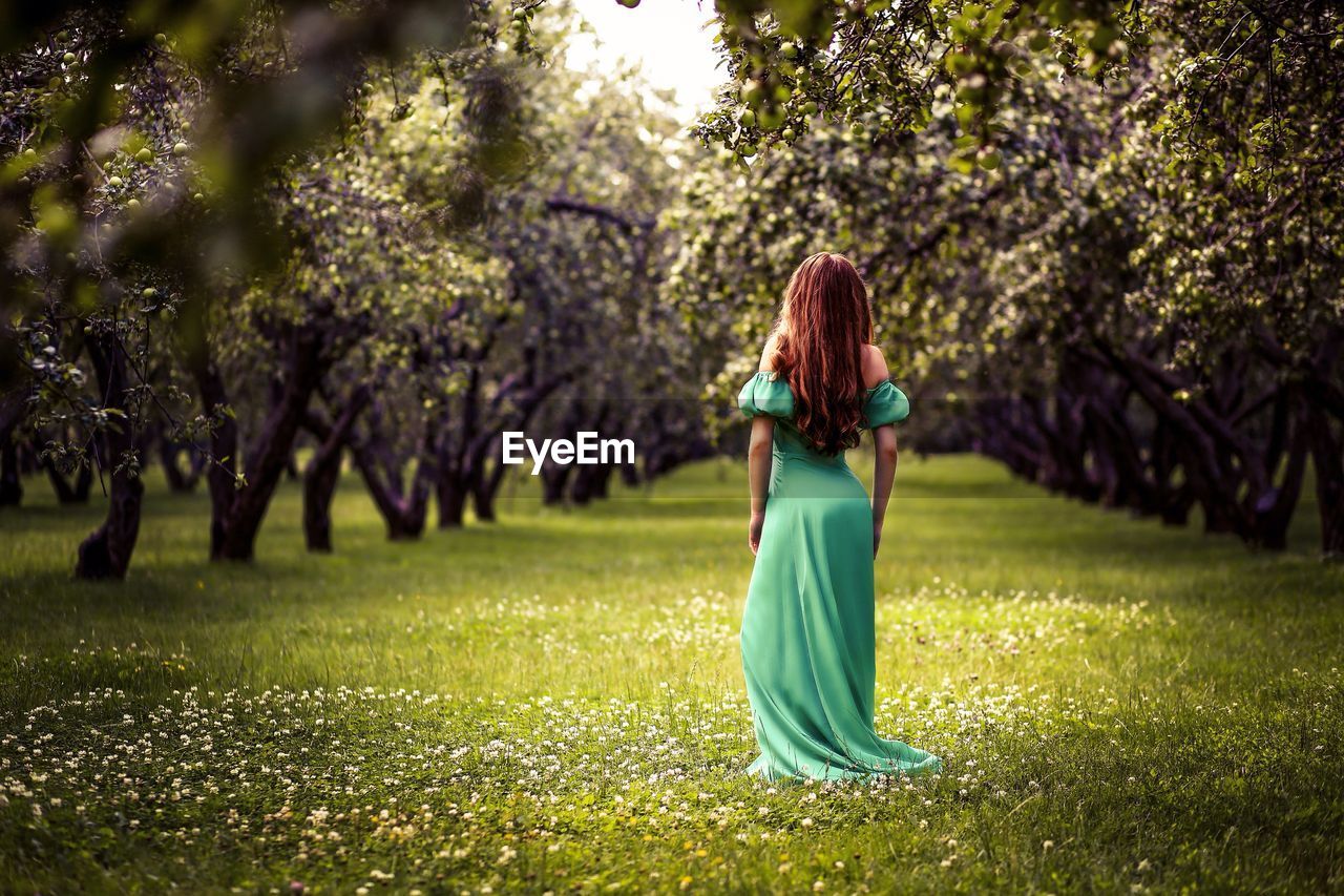 Rear view of young woman standing on grassy field amidst trees