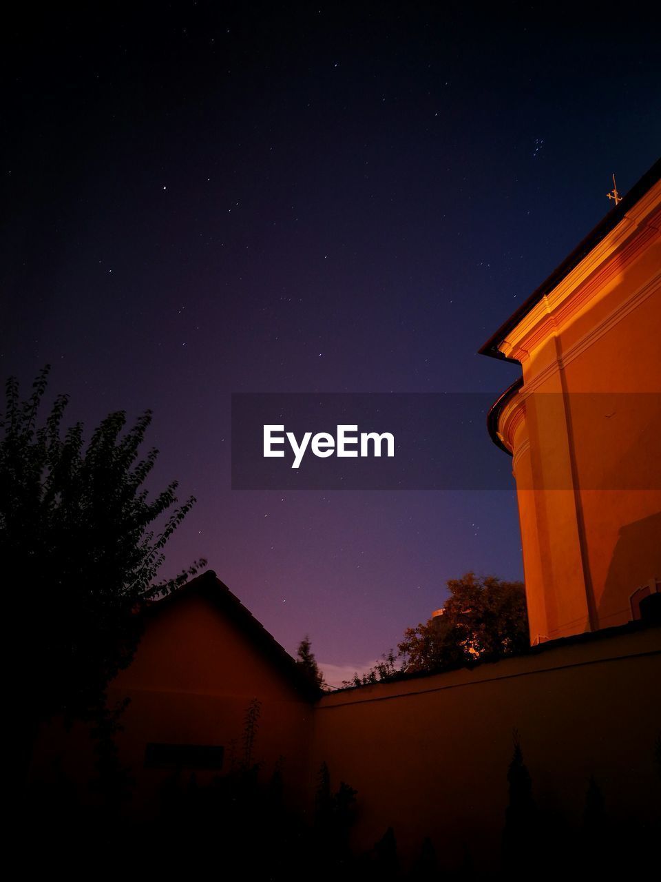 Low angle view of silhouette trees against sky at night