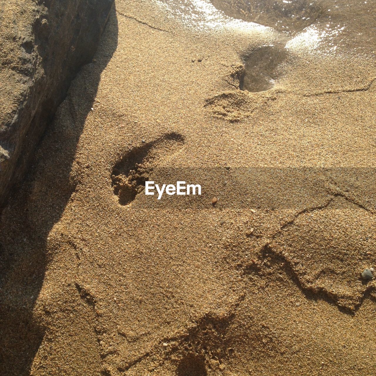 High angle view of footprints on shore