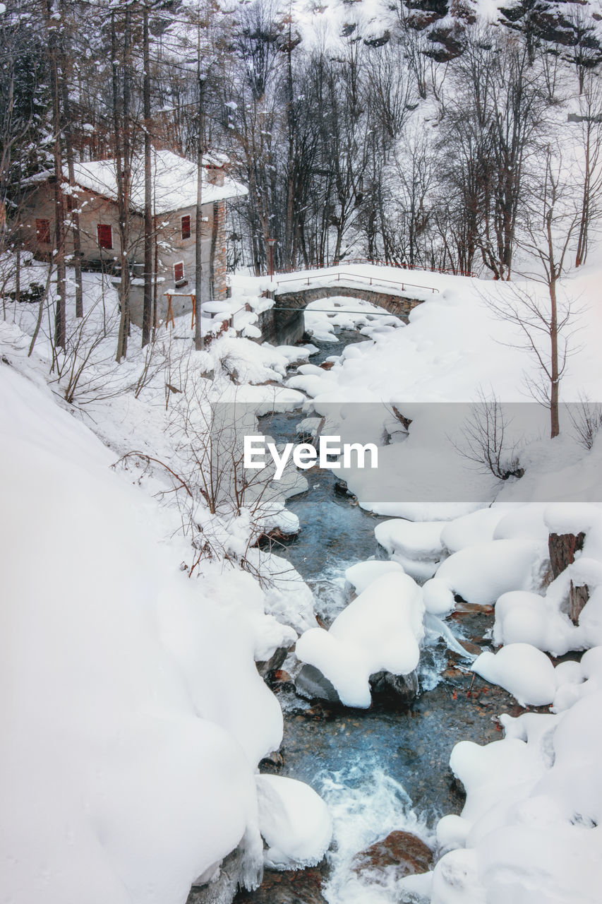 SNOW COVERED BARE TREES AND BUILDINGS