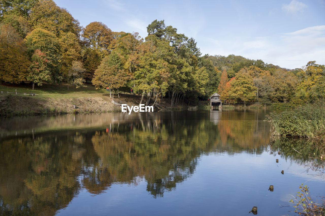 SCENIC VIEW OF LAKE AND TREES AGAINST SKY