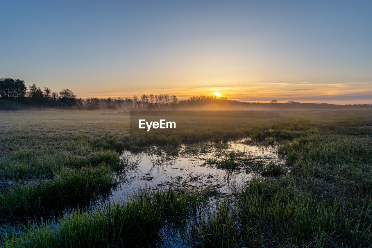 sky, nature, plant, landscape, environment, sunset, scenics - nature, beauty in nature, grass, natural environment, land, tranquility, horizon, sun, dawn, tranquil scene, field, marsh, no people, sunlight, tree, wetland, twilight, water, rural scene, non-urban scene, reflection, wilderness, cloud, rural area, prairie, evening, idyllic, fog, hill, outdoors, plain, growth, meadow, blue, agriculture, river, summer, sunbeam, forest, horizon over land, grassland, green, travel destinations, bog, travel, remote, orange color