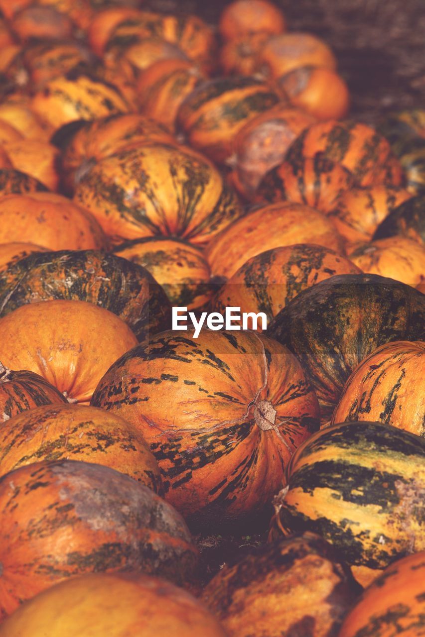 Full frame shot of pumpkin