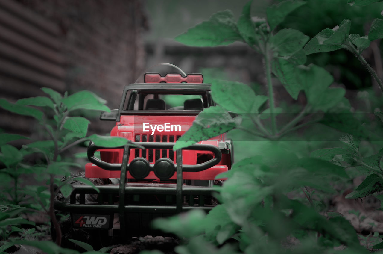 RED TOY CAR BY PLANTS